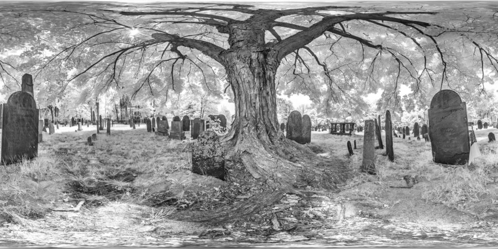 The Old Burying Ground Infrared Small scaled